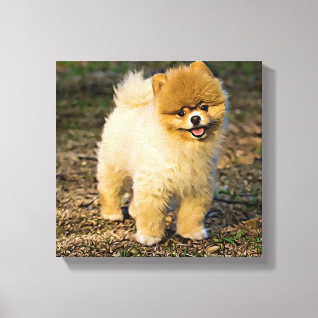 Perfect Pomeranian Canvas Print (Front)