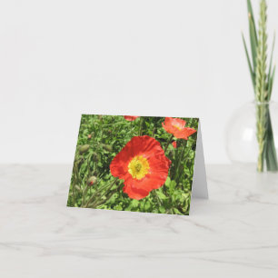 Perfect Poppies Card