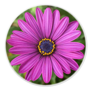 Perfect Purple Flower Ceramic Knob