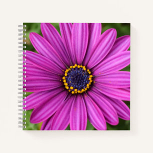 Perfect Purple Flower Head Notebook