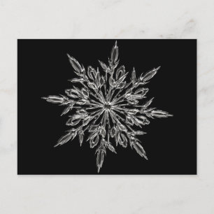 Perfect Snowflake for the Christmas Holiday Postcard