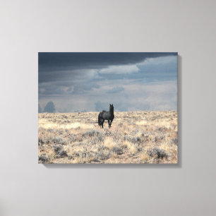 Perfect Storm on canvas  Print