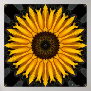 Perfect Sunflower Poster