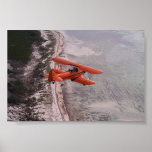 Perfect View Poster