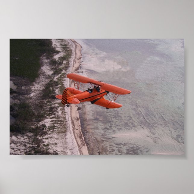 Perfect View Poster (Front)