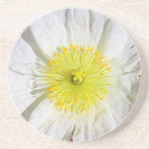 Perfectly Poppy Coaster
