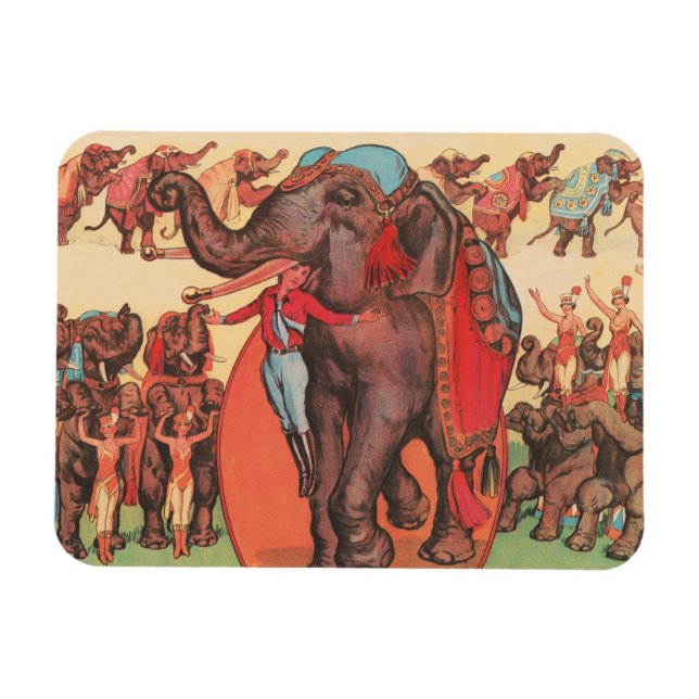Performing Elephants With Women And Trainer. Magnet (Horizontal)