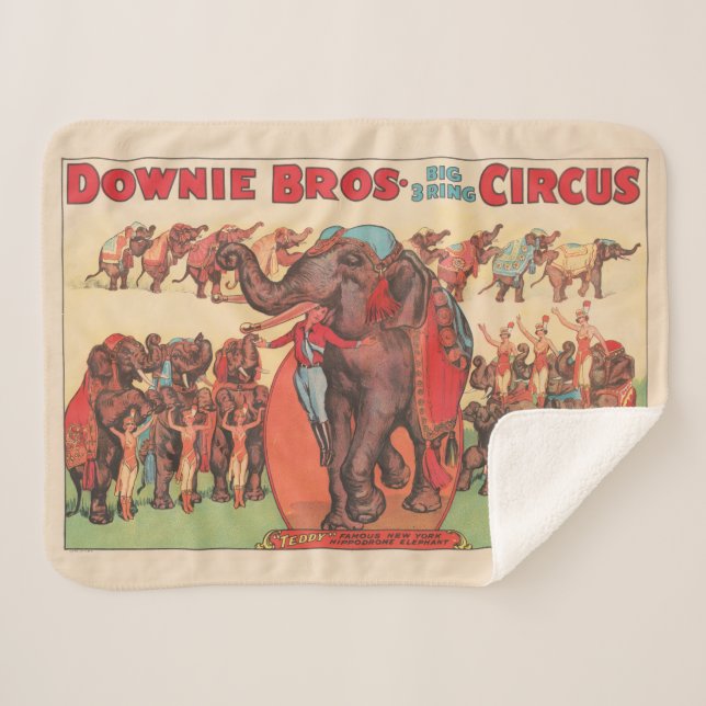 Performing Elephants With Women And Trainer. Sherpa Blanket (Front (Horizontal))