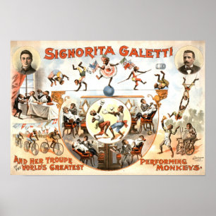 Performing Monkeys Vintage Poster