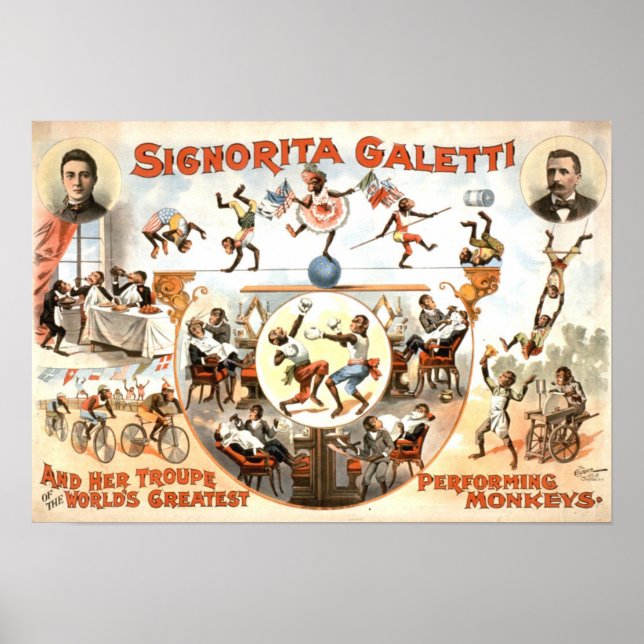 Performing Monkeys Vintage Poster (Front)