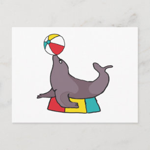 Performing Seal Postcard