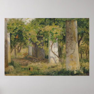 Pergola With Wine Grapes (Vineyard Landscape) Poster