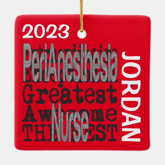 PeriAnesthesia Nurse Extraordinaire CUSTOM Ceramic Ornament (Back)