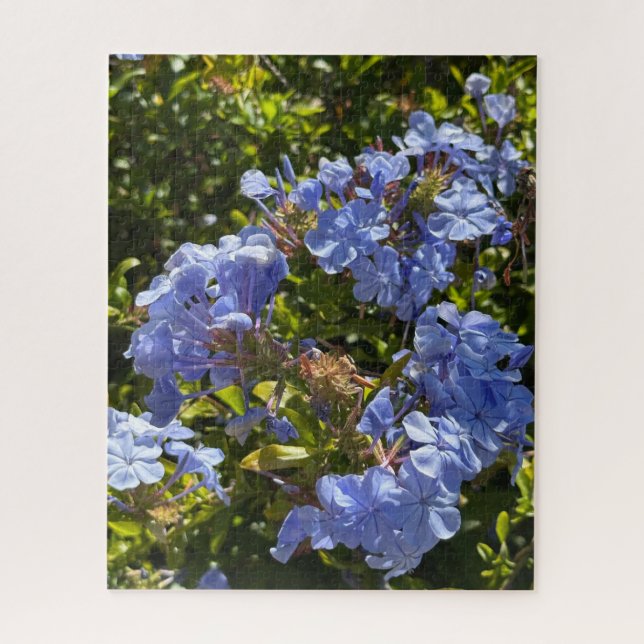 Periwinkle Cape Plumbago, Oakland Jigsaw Puzzle (Vertical)
