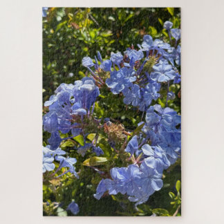 Periwinkle Cape Plumbago, Oakland Jigsaw Puzzle
