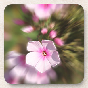 Periwinkle Coaster