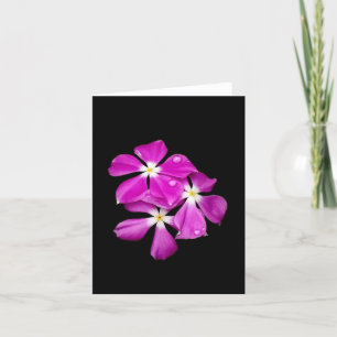 'Periwinkle Flowers After Rainfall' Blank Card