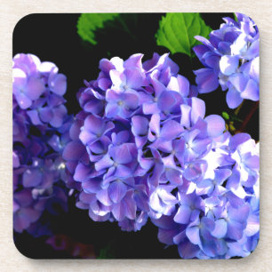 Periwinkle Hydrangeas Coaster