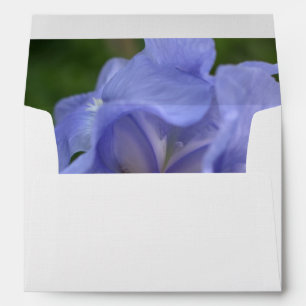 Periwinkle Iris Flower Envelope