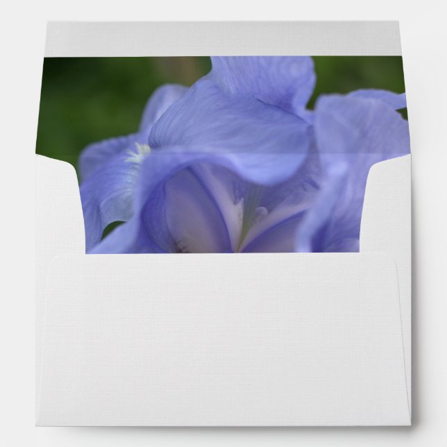 Periwinkle Iris Flower Envelope (Back (Bottom))