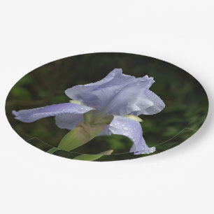 Periwinkle Iris Petals Raindrops Paper Plate