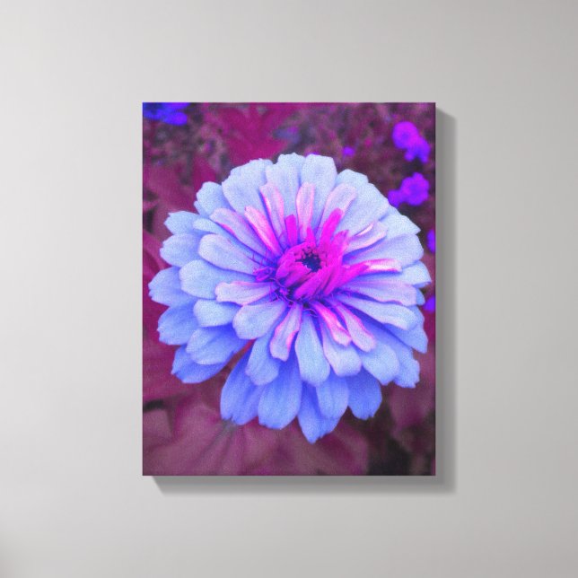 Periwinkle N Pink Zinnia Wrapped Canvas (Front)