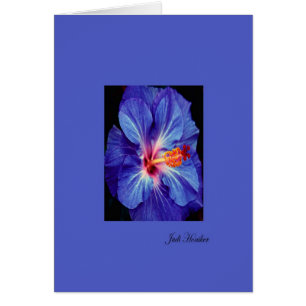 Periwinkle~One of the Most Worn Colours