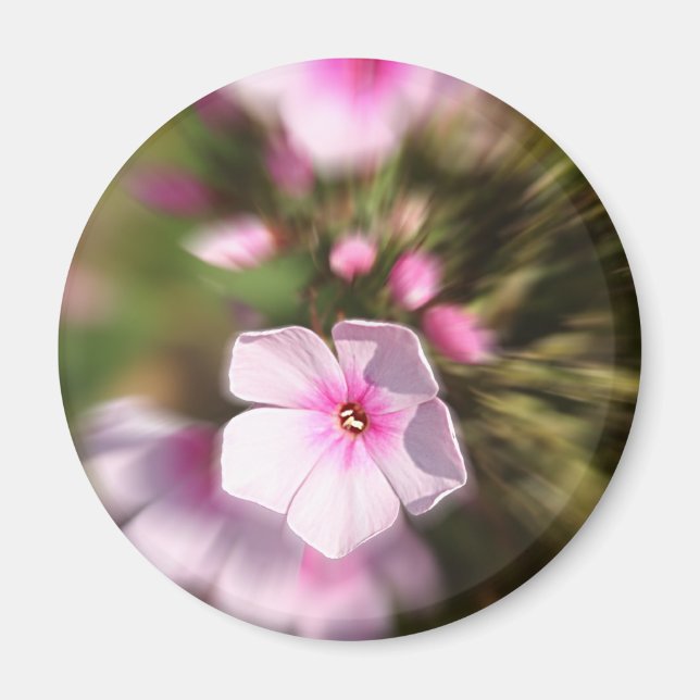 Periwinkle Zoom Magnet (Front)