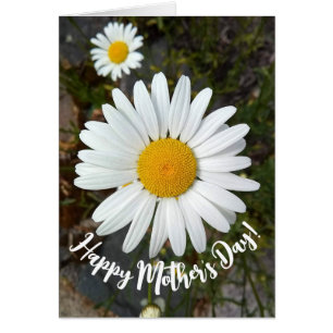 Perky White Daisy Flower Mother's Day Card