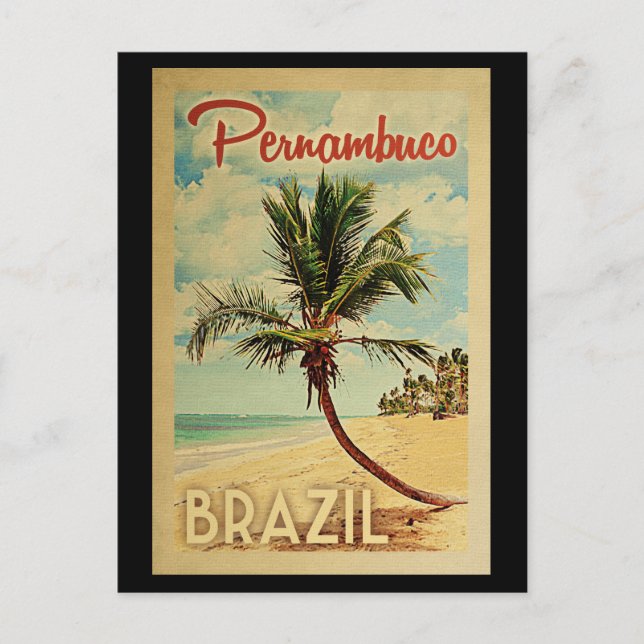 Pernambuco Palm Tree Vintage Travel Postcard (Front)