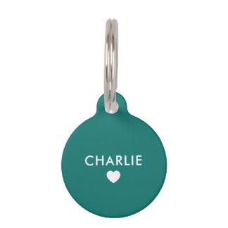 Peronsalized Pet Tag