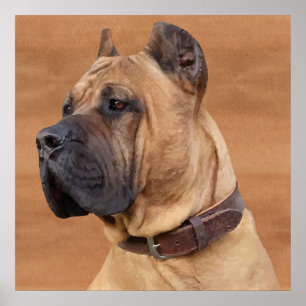 Perro de Presa Canario - Dogo Canario Poster