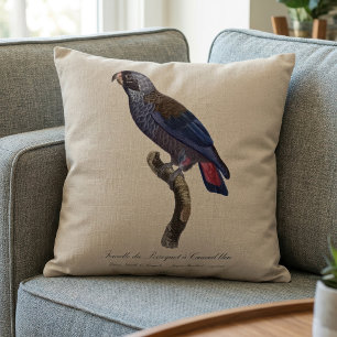 Perroquet a Camail bleu / Dusky parrot  Cushion