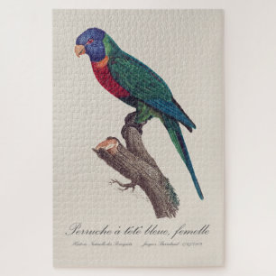 Perruche a tete bleue, femelle / Rainbow lorikeet, Jigsaw Puzzle