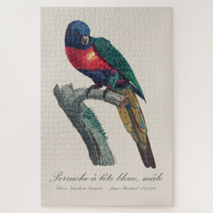 Perruche a tete bleue / Rainbow lorikeet  Jigsaw Puzzle