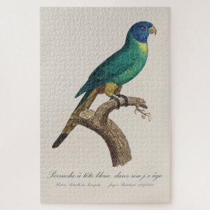 Perruche a tete bleue / Rainbow lorikeet, juvenile Jigsaw Puzzle