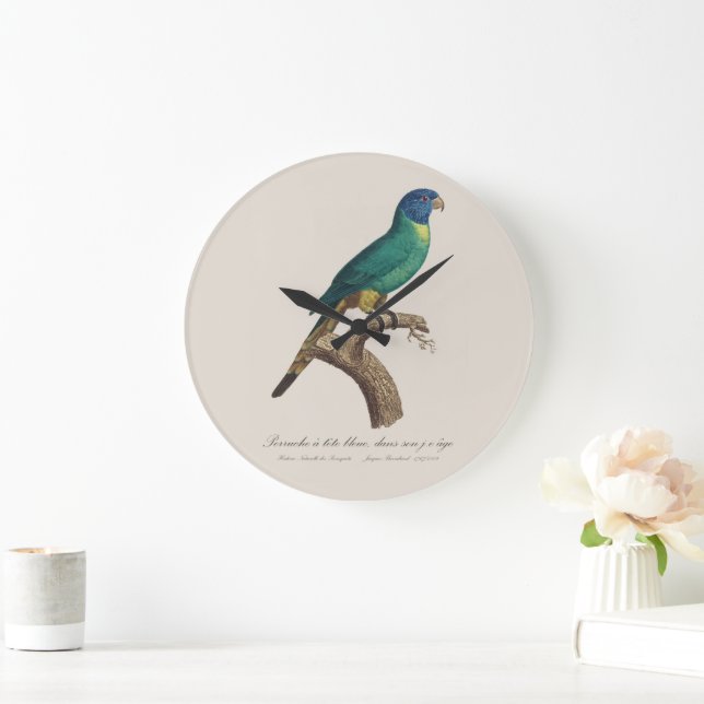 Perruche a tete bleue / Rainbow lorikeet, juvenile Large Clock (Home)