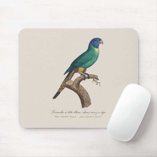Perruche a tete bleue / Rainbow lorikeet, juvenile Mouse Pad (With Mouse)