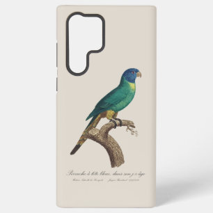 Perruche a tete bleue / Rainbow lorikeet, juvenile Samsung Galaxy Case