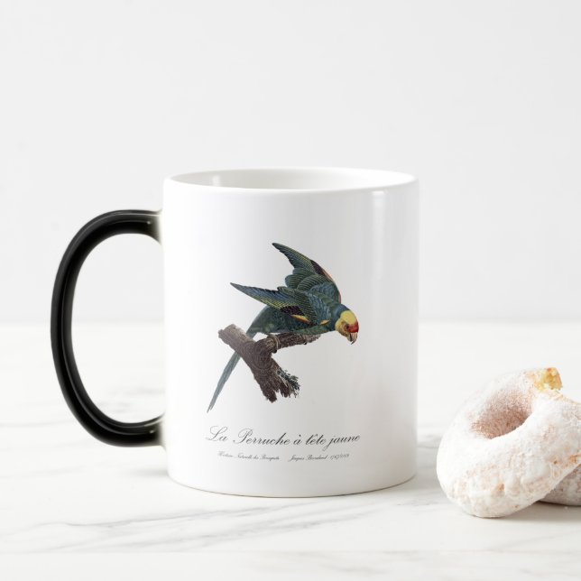 Perruche a Tete Jaune / Carolina parakeet Magic Mug (With Donut)