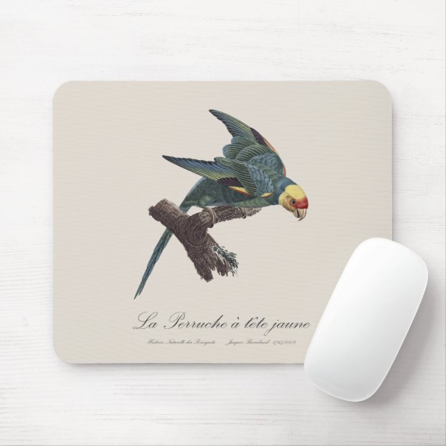 Perruche a Tete Jaune / Carolina parakeet Mouse Pad (With Mouse)