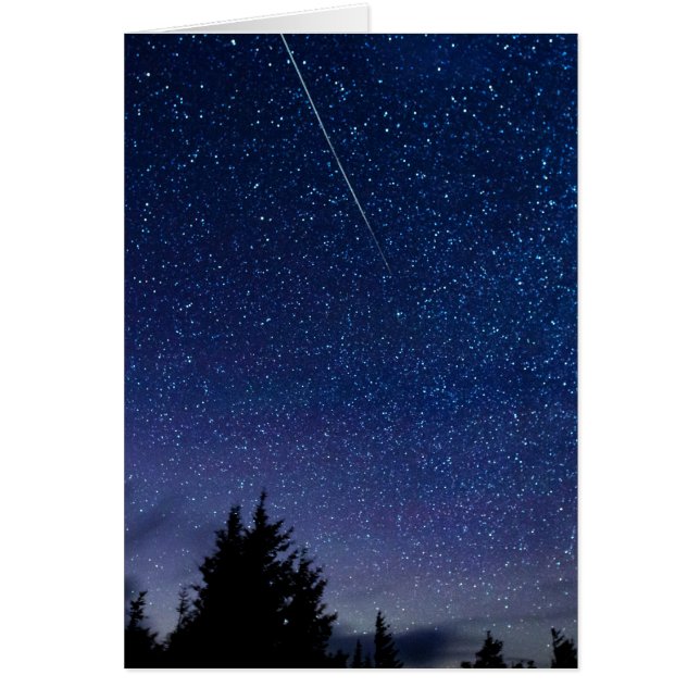 Perseid Meteor Shower (Front)