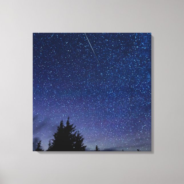 Perseid Meteor Shower Canvas Print (Front)