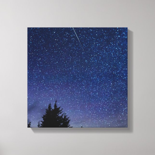 Perseid Meteor Shower Canvas Print (Front)