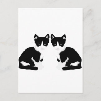 persephone&hades 'tuxedo cat' postcard