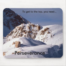 Perseverance  by TDGallery