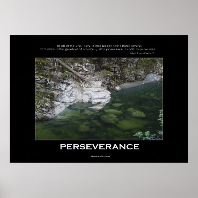 PERSEVERANCE Nature Poster (Front)