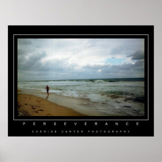 Perseverance Poster