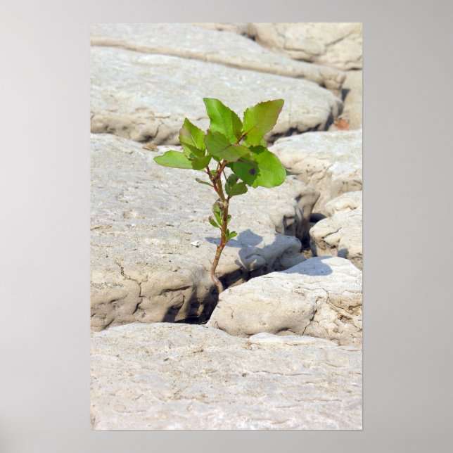 perseverance poster (Front)