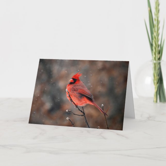 Perseverence Cardinal in a Snowstorm Note Card (Front)